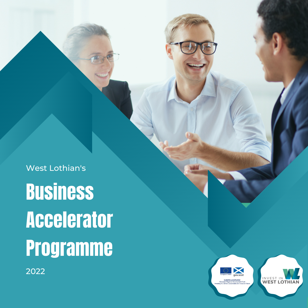 Business Accelerator Programme branding with discussion between business adviser and client
